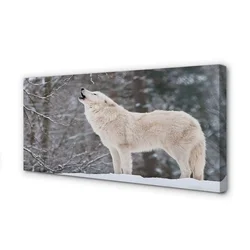tulup.si Slika na platnu Wolf zimski gozd 120x60 cm