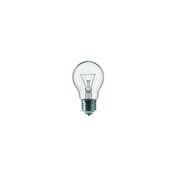 Industrijska sijalica CLEAR A55 E27/25W/240V