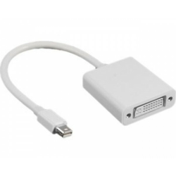 FAST ASIA Adapter - konvertor Mini DisplayPort (M) - DVI (F) beli