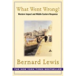 What Went Wrong?