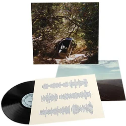 Ty Segall - Possession (LP)