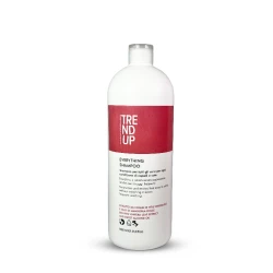 Šampon za kosu EVERYTHING, 1000 ml