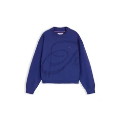TOMMY HILFIGER Pulover temno modra