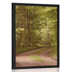 Plakat zeleni gozd - 60x90 silver