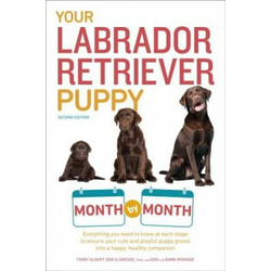 Your Labrador Retriever Puppy Month by Month