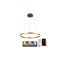 Brilagi - LED prigušiva lampa na sajli CIRCLE LED/42W/230V 3000-6500K + daljinski upravljač