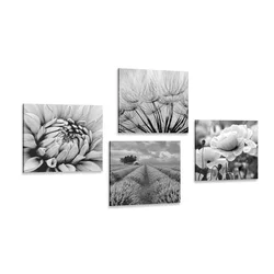 Set slik črnobela eleganca - 4x 60x60