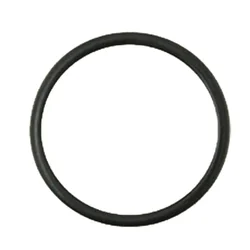 Oring Case IH 38017734 4847092 GRANIT