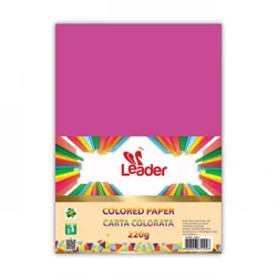 Hamer 220g A4 Leader 100l roze