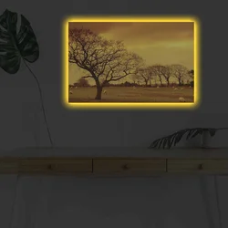 Zidna slika sa LED osvetljenjem 4570DHDACT-047, 45x70 cm