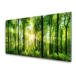 tulup.si Steklena slika Narava gozdnega drevja 100x50 cm 2 obešalnika
