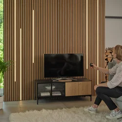 Osram - LED prigušiva traka FLEX ACOUSTIC 2,6m LED/29W/230V + daljinski upravljač