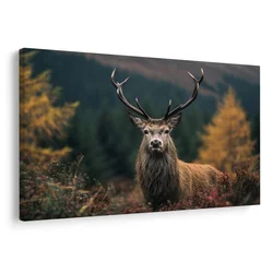 Slika veličastni jelen v gozdu - 120x80