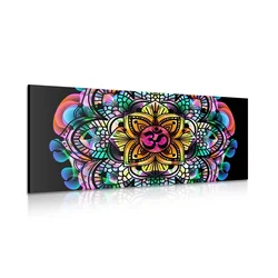 Slika Mandala zdravja - 80x40