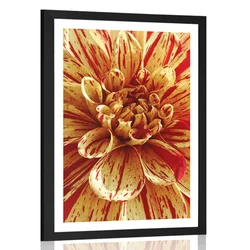 Plakat s paspartujem eksotična dalija - 30x45 silver