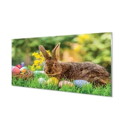 tulup.si Steklena slika Rabbit jajca travnik 100x50 cm 4 obešalnika