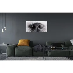 tulup.si Steklena slika Psu nos 120x60 cm 2 obešalnika
