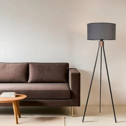 Opviq Podna lampa Fisco, 155 cm, E27, Crna