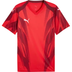 Puma Dres teamFINAL Graphic+