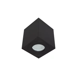 Spoljno reflektorsko svetlo SARA 1xGU10/30W/230V IP54 crno