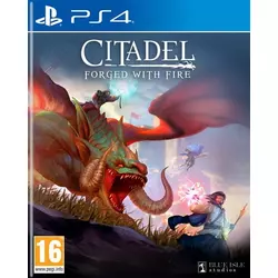 WEBHIDDENBRAND Blue Isle Studios Citadel: Forged with Fire igra, PS4