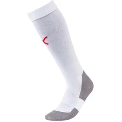 Puma Nogavice Team Liga Core