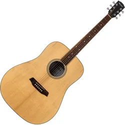 Pasadena PD-250 Open Pore Natural Akustična kitara (Kot novo)