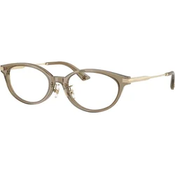 Jimmy Choo Naočare JC 3029D 5051