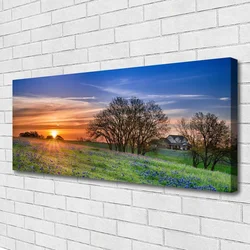tulup.si Slika na platnu Sun travnik landscape 120x60 cm