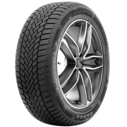 Radar Dimax Winter ( 175/65 R14 82T )