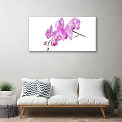 tulup.si Slika na steklu Orhideja orhideje 120x60 cm 2 obešalnika