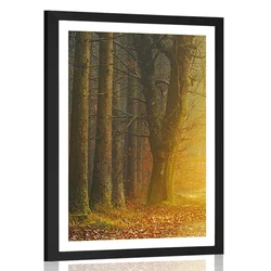 Plakat s paspartujem pot v gozdu - 60x90 white