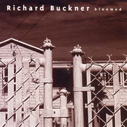 Richard Buckner - Bloomed (Reissue) (180 g) (LP + CD)