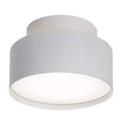 Rabalux Spot lampa Ovidia, Nadgradna, LED 24W, 3000K, Bela
