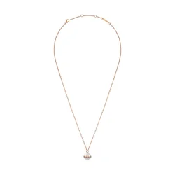Ogrlica Daniel Wellington