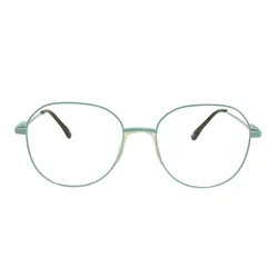 Berkeley Naočare BB 705002 C4