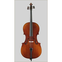Violončelo Divertimento 4/4 Sielam