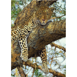 Puzzle Leopard 1000 kosov