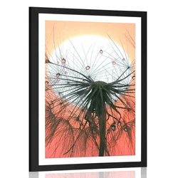 Plakat s paspartujem regrat ob sončnem zahodu - 40x60 no frame