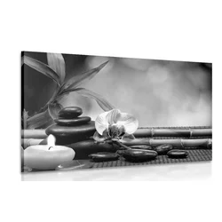 Slika Feng Shui harmonija v črnobeli izvedbi - 40x30