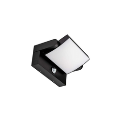 LED spoljašnje zidno svetlo sa senzorom, LED/17W/230V, 4000K, IP65, crno