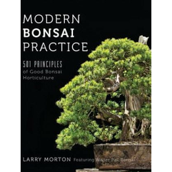 Modern Bonsai Practice
