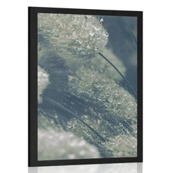 Plakat kaplje rose na travi - 20x30 no frame