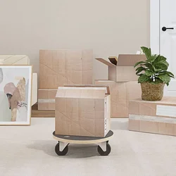 Transportna kolica 2 kom pravokutna O 38 x 11,5 cm 250 kg