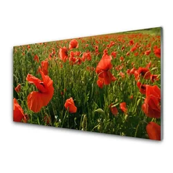 tulup.si Steklena slika Rastlinskih mak naravi 100x50 cm 4 obešalnika
