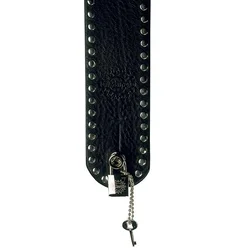 DiMarzio Bravica za gitaru DD2100N