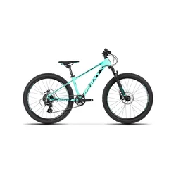 Otroško kolo Beany Blaster 20 Turquoise