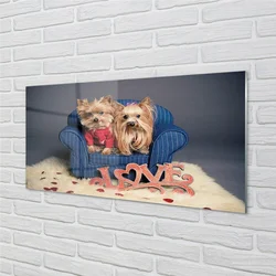 tulup.si Steklena slika Yorkie 120x60 cm 4 obešalnika