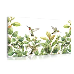 Slika kolibri in listi - 120x80