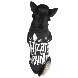 Pasja obleka KILLSTAR - Wizard In Training - Črna - KSRA004760